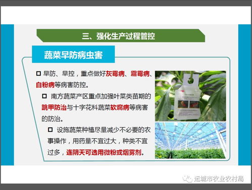 新型冠状病毒感染肺炎疫情防控期间农产品生产经营者质量安全操作指南